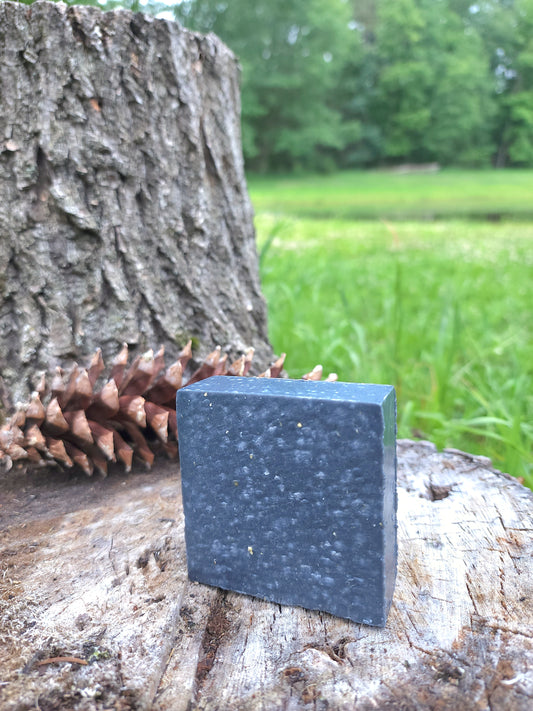 Bear Pine