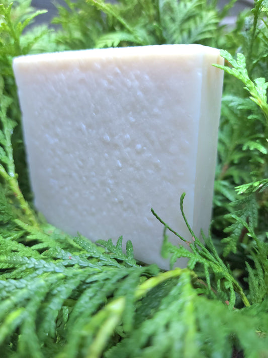 Cypress Sage