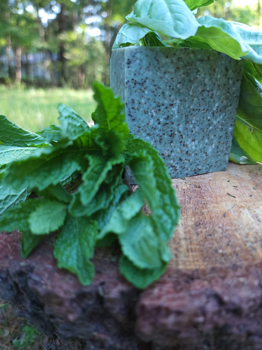 Spearmint Basil